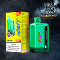 Nasty 9000 Puffs